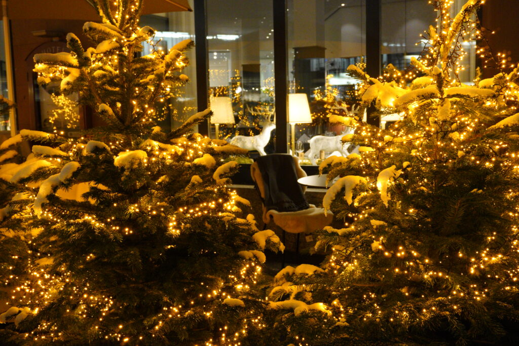 Wintergarten Hotel Waldstätterhof Luzern auf der Gleis 1 Terrasse